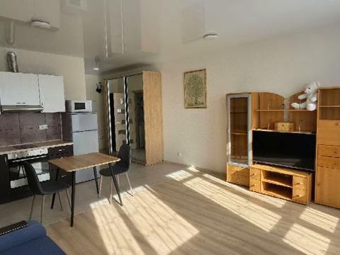 квартира за адресою Олени Пчілки вул., 7