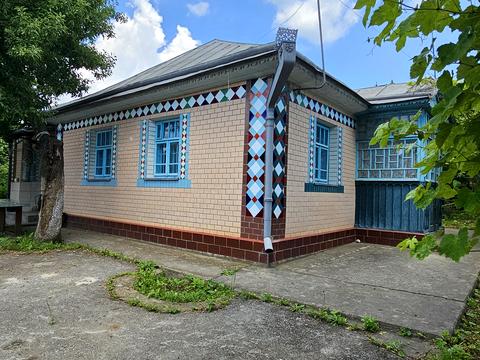 дом по адресу с. Баговица, Гагаріна