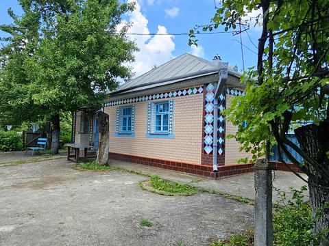дом по адресу с. Баговица, Гагаріна