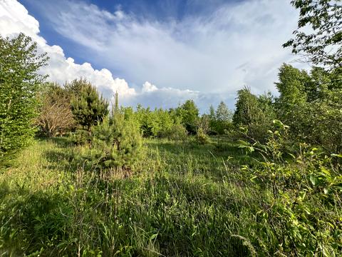 будинок за адресою с. Вільськ, СТ Вільське