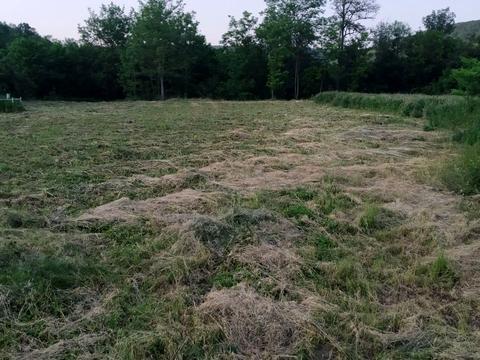 дом по адресу с. Бернашовка, Левадівська, 41