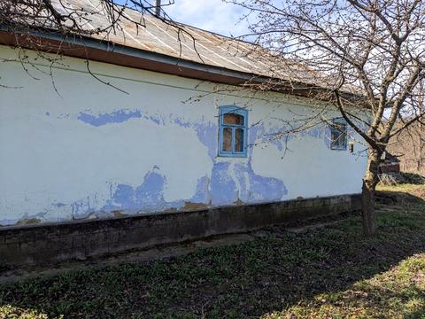 дом по адресу с. Бернашовка, Левадівська, 41