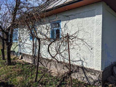 дом по адресу с. Бернашовка, Левадівська, 41