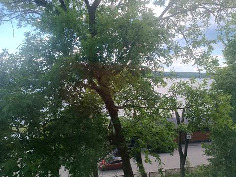 коммерческая по адресу Белецкая ул., 51
