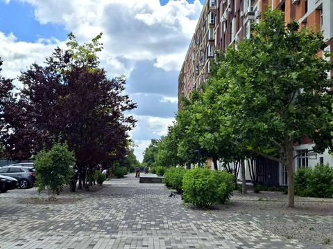 квартира за адресою Балукова вул., (Будинок 1)