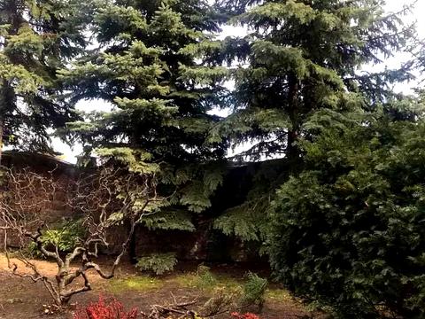 будинок за адресою Деметра вул.