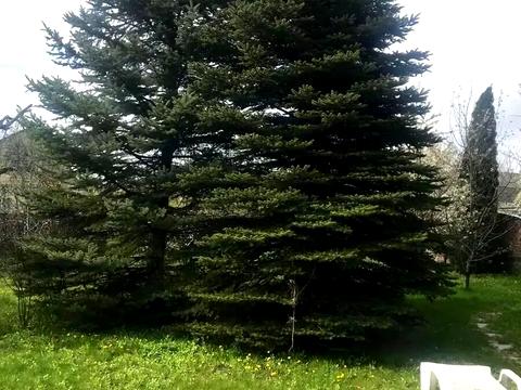 будинок за адресою Деметра вул.