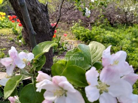 участок по адресу Фруктовая ул., 22а