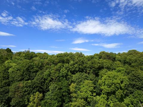 квартира за адресою Львів, Василя Стуса вул. (Островського), 22а