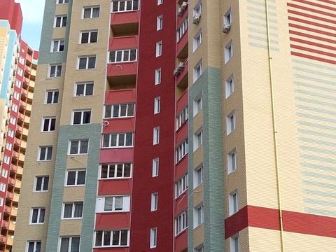 квартира за адресою Юлії Здановської вул. (Ломоносова), 85-Б