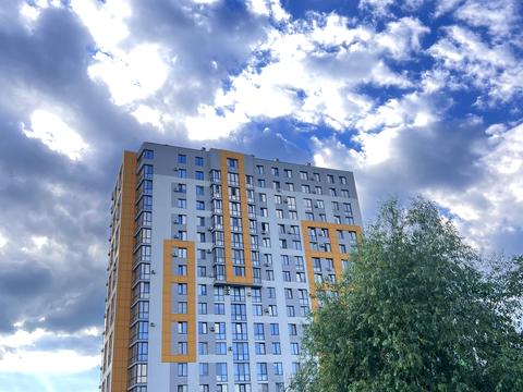 комерційна за адресою Бігова вул., 17