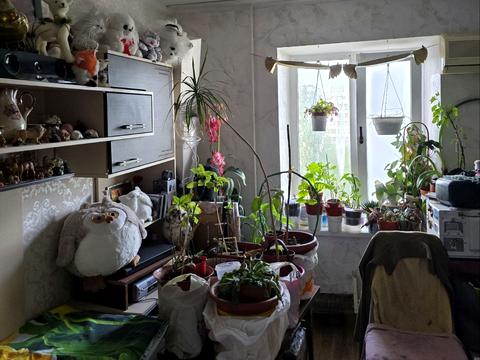 квартира по адресу Архитектора Вербицкого ул., 15