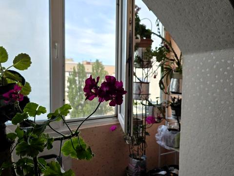 квартира по адресу Архитектора Вербицкого ул., 15