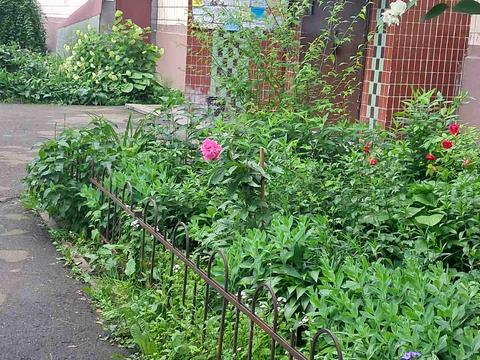 квартира за адресою Романа Шухевича просп. (Генерала Ватутіна), 30