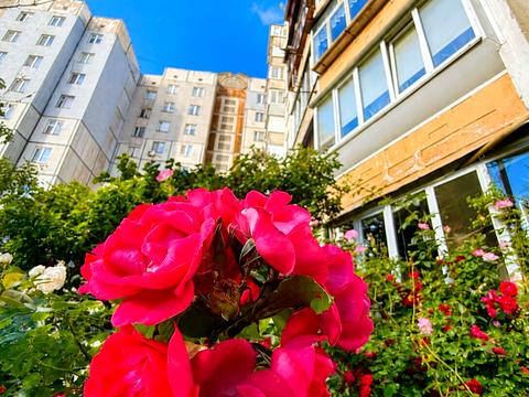 квартира за адресою В'ячеслава Чорновола вул., 42-Б