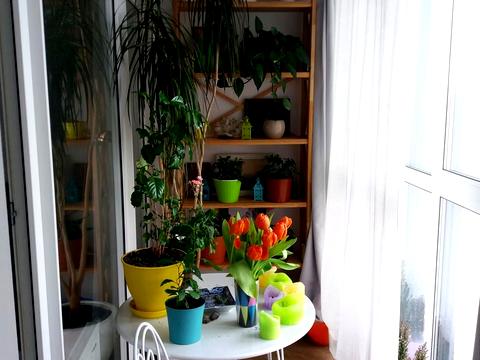 квартира за адресою Митрополита Василя Липківського вул. (Урицького), 16-Б