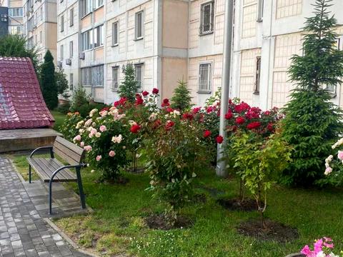 квартира по адресу Ивана Пулюя ул., 2