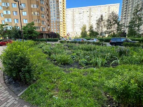 квартира за адресою Київська вул., 243