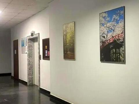 квартира по адресу Французский бульв., 49А