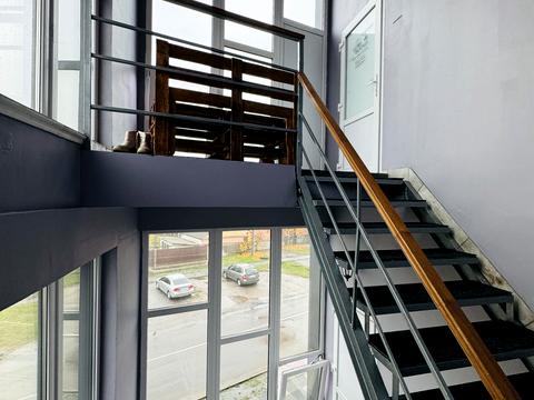 комерційна за адресою Бориспіль, Шевченка вул., 25