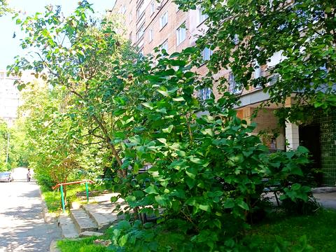 квартира по адресу Голосеевский просп. (40-летия Октября), 110