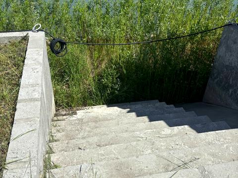 дом по адресу Абрикосова