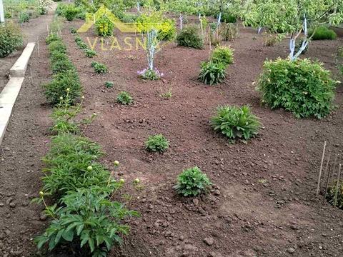 будинок за адресою Шкільна