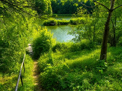 дом по адресу Вишнева, 51