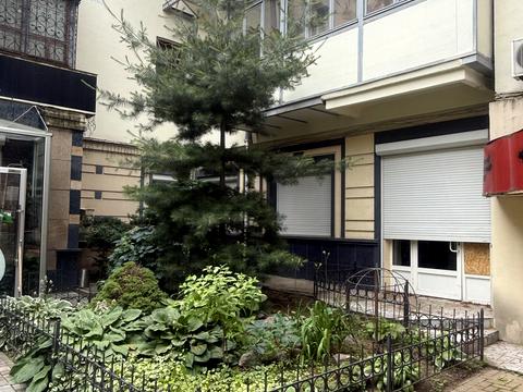 коммерческая по адресу Максимилиановская ул. (Ольминського), 8
