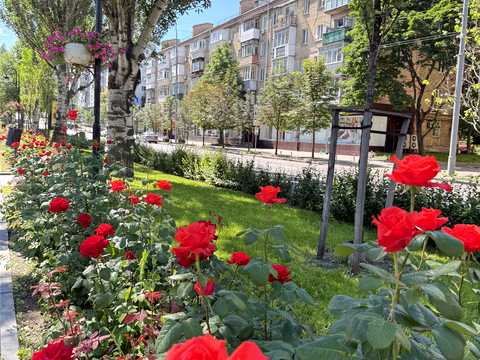 квартира за адресою Лесі Українки бульв., 20