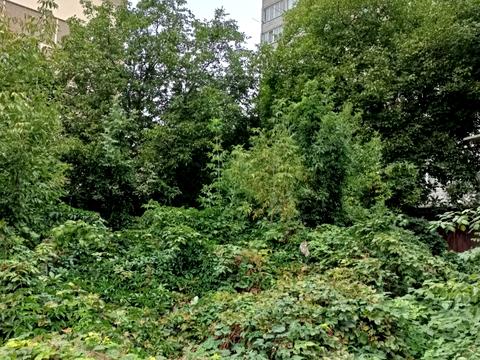 ділянка за адресою Вінниця, Дачна вул., 10
