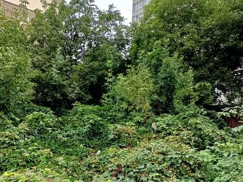 ділянка за адресою Вінниця, Дачна вул., 10