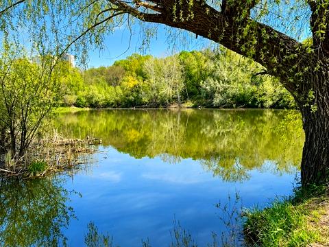 будинок за адресою Квітки-Основ'яненка вул., 49