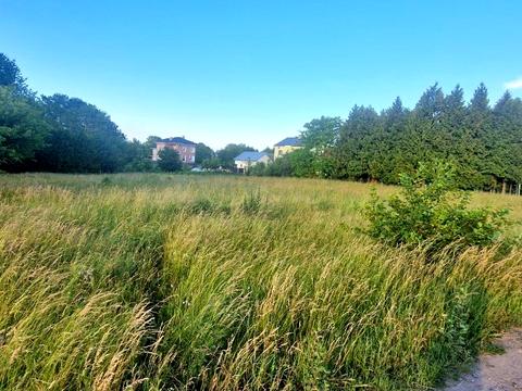 ділянка за адресою Івана Франка