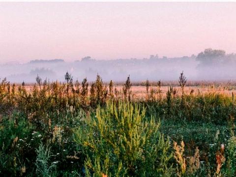 ділянка за адресою Левка Симиренка вул.