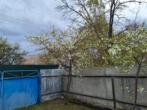 будинок за адресою Березань, В'ячеслава Чорновола