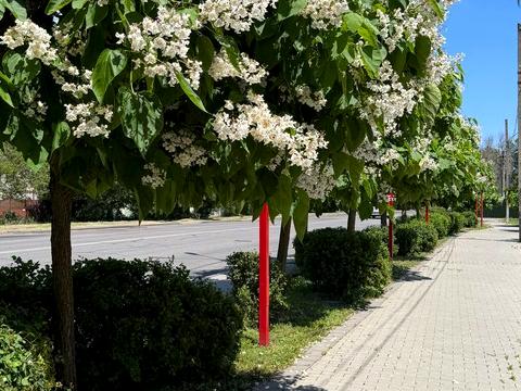 квартира за адресою Радісна вул., (Будинок А)