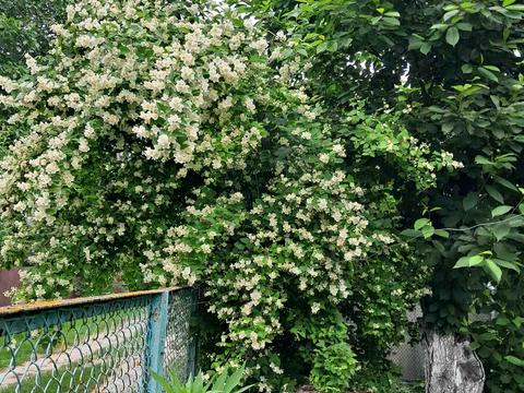 будинок за адресою смт. Баришівка, Центральна вул. (Жовтнева)