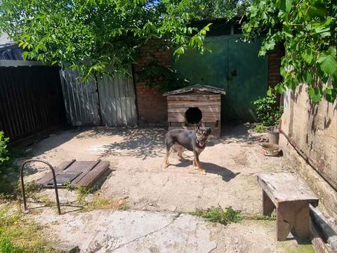 будинок за адресою Тарасової вул. (Тарасової), 3