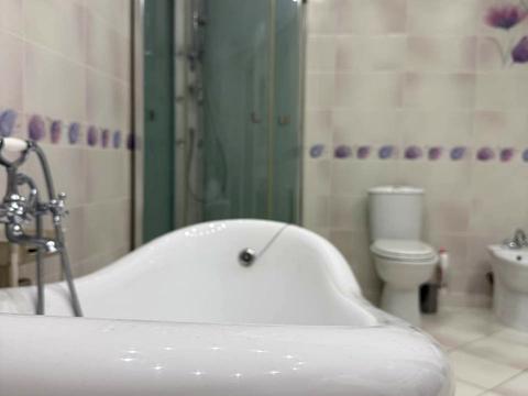 квартира за адресою Марійки Підгірянки вул., 23