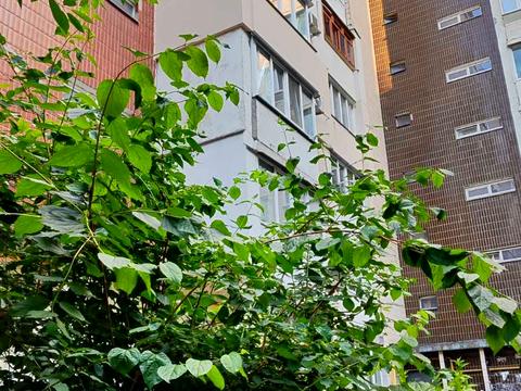 квартира по адресу Василия Стуса ул., 28