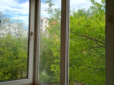 квартира по адресу Гетмана Мазепы ул., 167/2