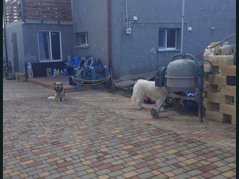будинок за адресою Провулок Вітаміний