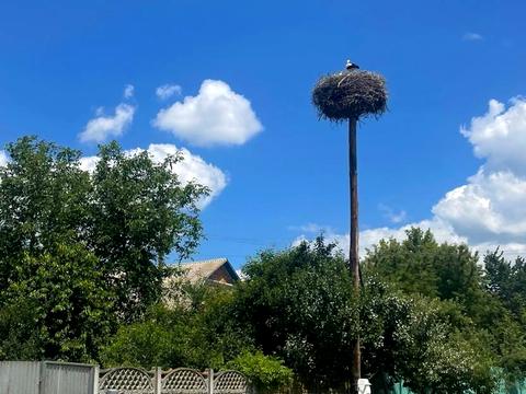 ділянка за адресою с. Ільківка, 
