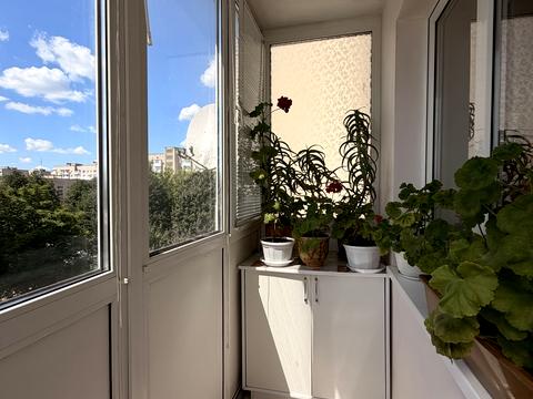 квартира по адресу Шота Руставели ул., 10
