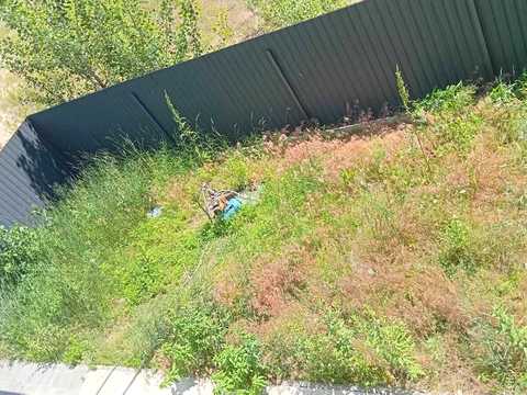 дом по адресу Центральная ул.