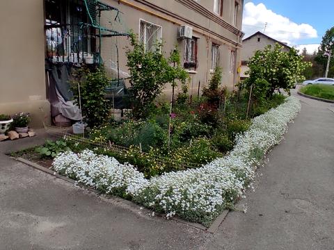 квартира по адресу Ахиезеров ул. (Халтуріна), 22