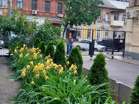 квартира по адресу Харьковская ул., 4
