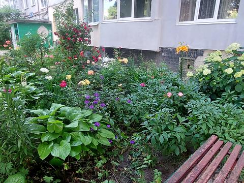 квартира по адресу Гвардейцев-Широнинцев ул., 62
