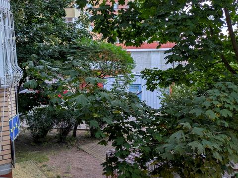 комерційна за адресою Університетська вул., 2/1